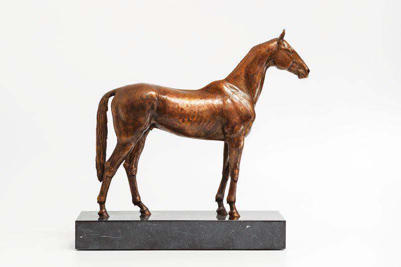akhal-teke - Yury Maramygin