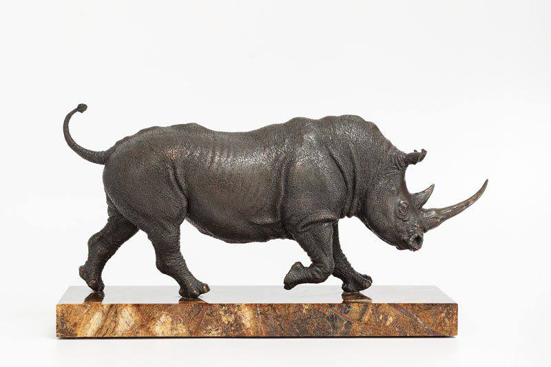 rhinoceros - Yury Maramygin