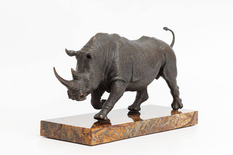 rhinoceros - Yury Maramygin