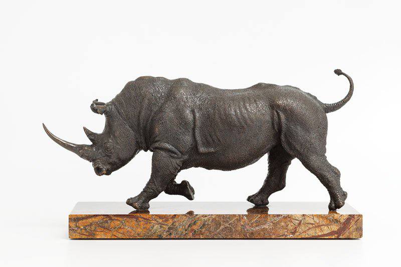rhinoceros - Yury Maramygin