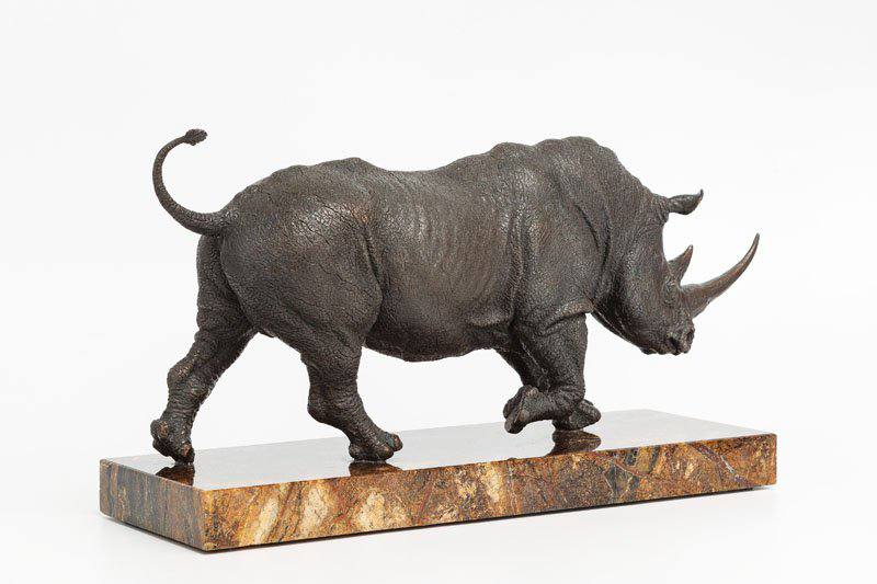 rhinoceros - Yury Maramygin