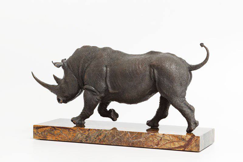rhinoceros - Yury Maramygin