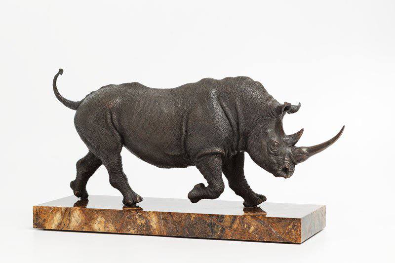 rhinoceros - Yury Maramygin